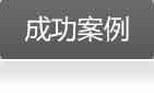 成功案例