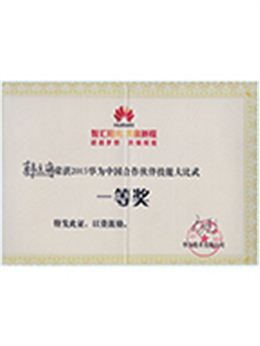 2015华为中国合作伙伴技能大比武一等奖