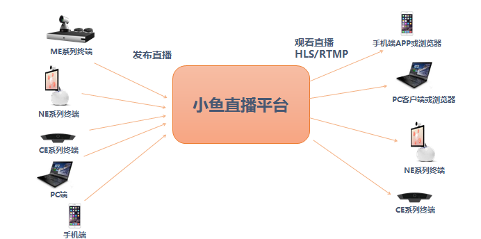 小鱼易连直播平台