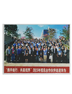2015年华为视讯伙伴